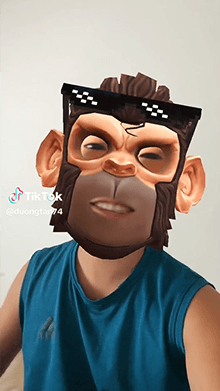Ape Monkey