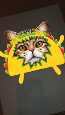 Funny Taco Cat Filter