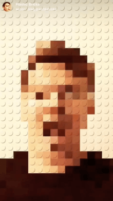 Plastic Bricks