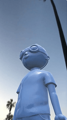 Fly Boy
