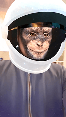 Space Chimp