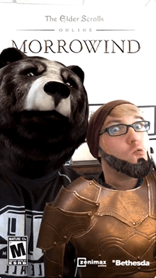 The Elder Scrolls