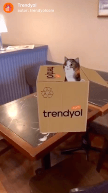 Trendyol