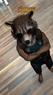 Rocket Raccoon