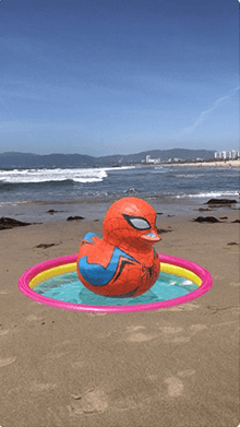 Spider Duck