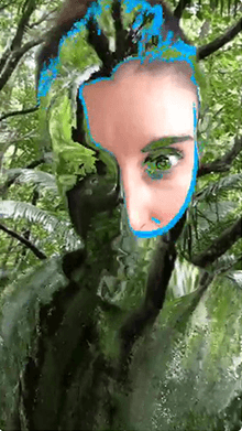 Optical Camo