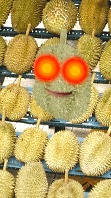 Durian