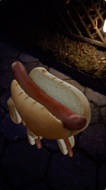 HotDogDog