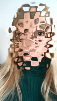 Face Shield
