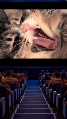 Home Cinema