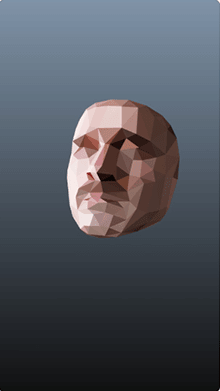 Polygonal Face