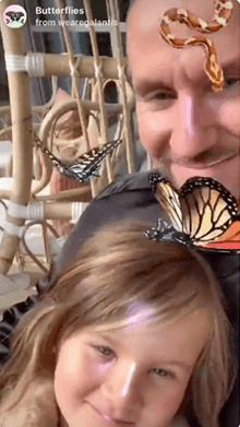 Butterflies