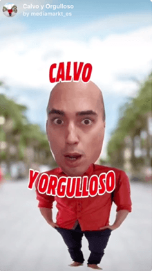 Calvo y Orgulloso