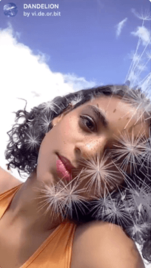 DANDELION