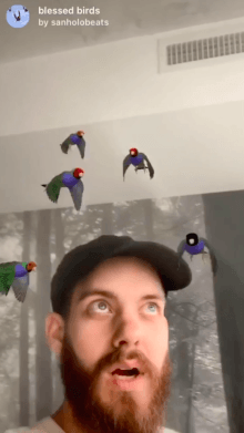 blessed birds
