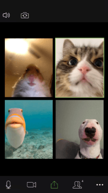zoomer
