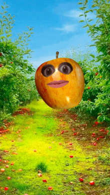 Apple of My Eye