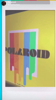 Polaroid