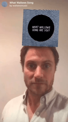 What Wallows Song