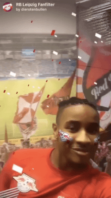 RB Leipzig Fanfilter