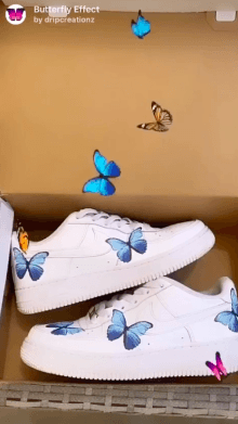 Butterfly effect