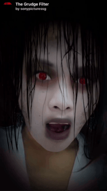 the grudge filter