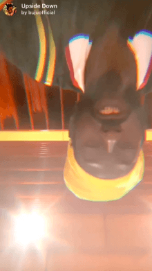 upside down