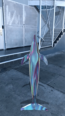 dolphined