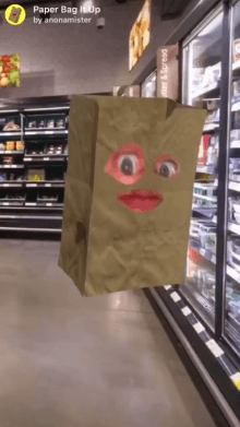 paper bag it up