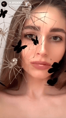spiders