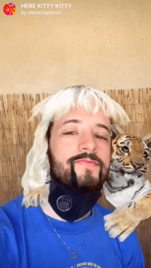 HERE KITTY KITTY
