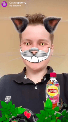 Cat raspberry