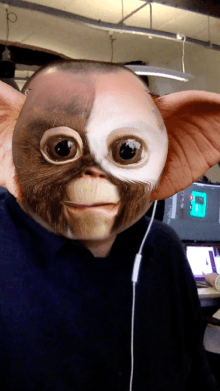 friendly bob