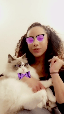 cool cats