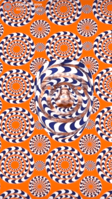 Optical illusion