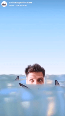 Swimming with Sharks