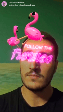 Go-Go-flaminGo