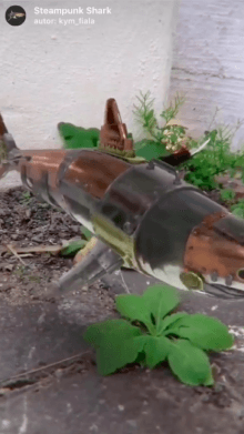 Steampunk Shark