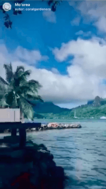 Mo'orea
