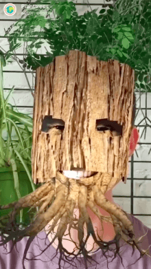 Planttrees