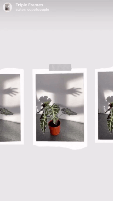 Triple Frames