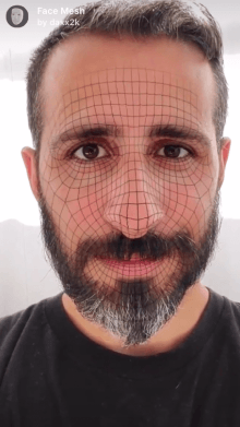 Face Mesh