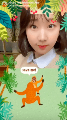 SAVE THE ORANGUTANS