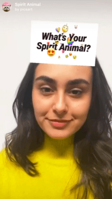 Spirit Animal