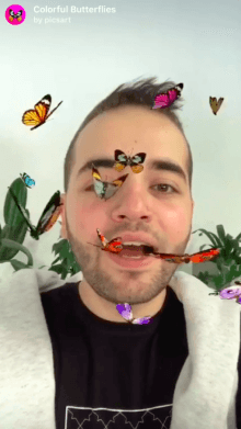 Colorful Butterflies