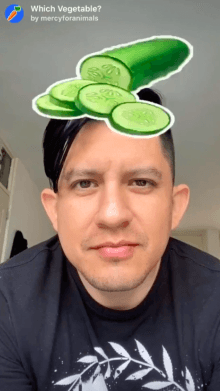Which Vegetable?