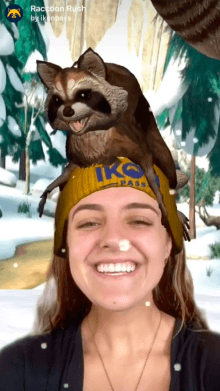 Racoon Rush