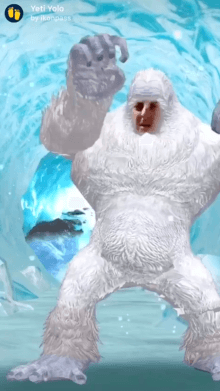 Yeti Yolo