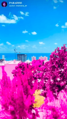 PARADISE