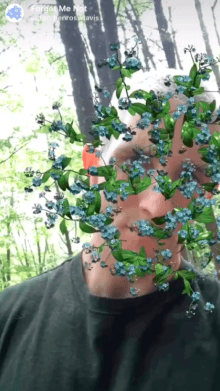 Forget Me Not
